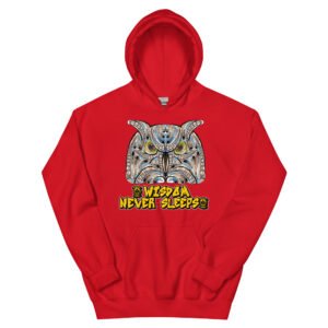 Wisdom Never Sleeps - Artistic Owl Hoodie - Unisex Hoodie
